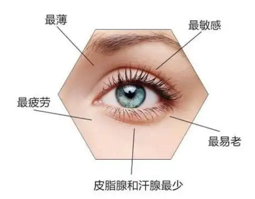 去眼袋手术