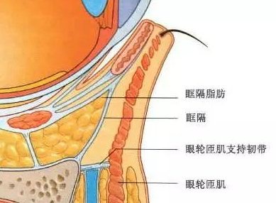 去眼袋手术