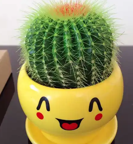 去眼袋手术