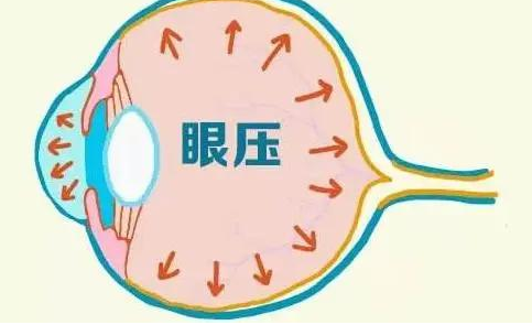 眼袋