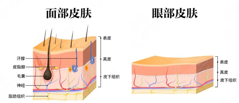 去眼袋手术