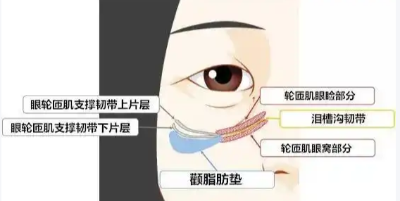 眼袋