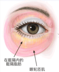 眼袋