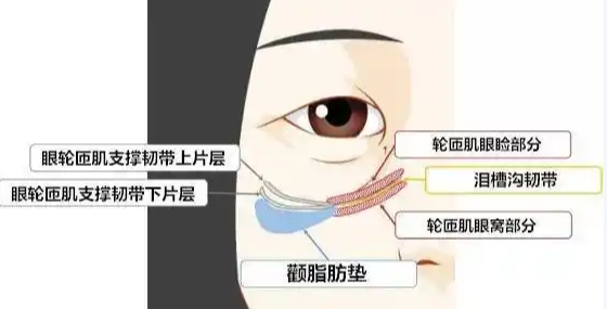 眼袋