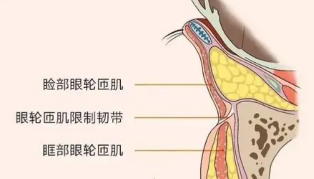 去眼袋手术