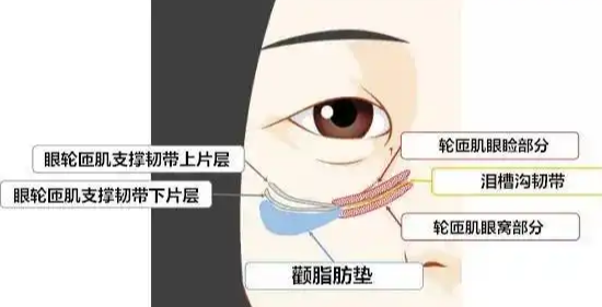 去眼袋手术