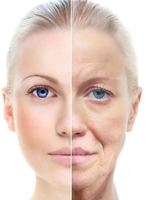 ȥ�۴�����