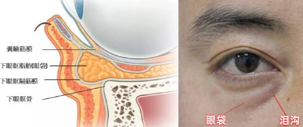 ȥ�۴�����