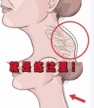 富贵包