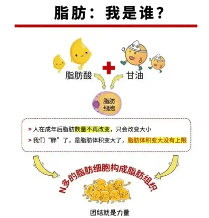 超声波减肥