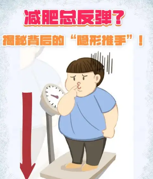超声波减肥