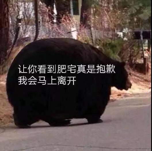 超声波减肥