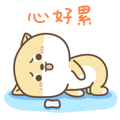 超声波减肥