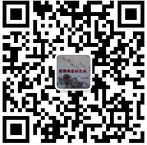 超声波减肥