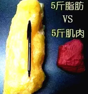 重庆超雅超声波吸脂减肥,让你冬天穿衣不发愁626 重庆超雅超声波吸脂减肥,让你冬天穿衣不发愁626